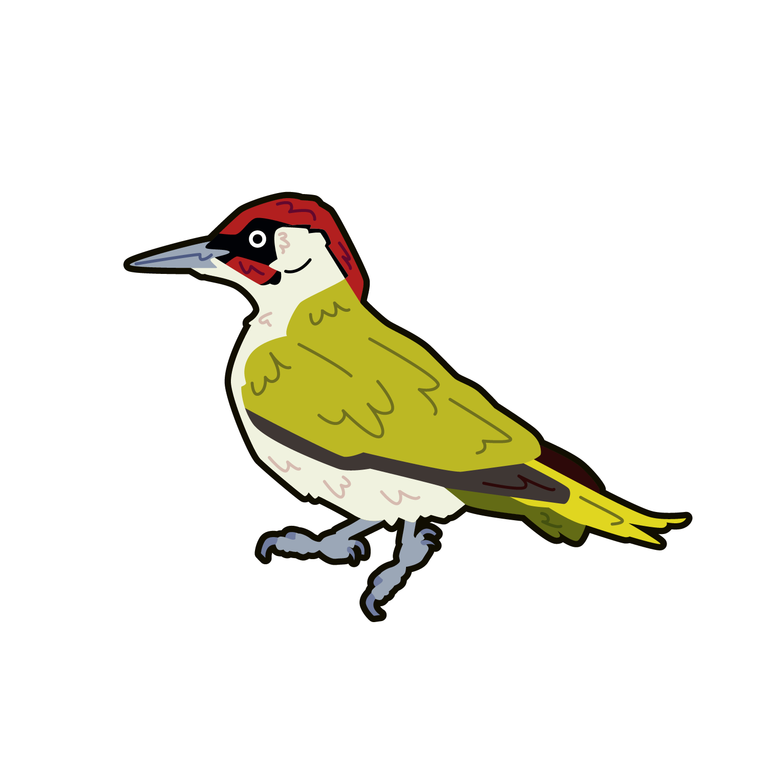 Green Woodpecker