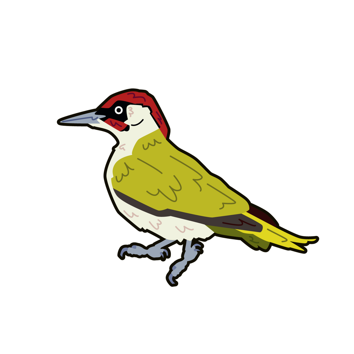 Green Woodpecker