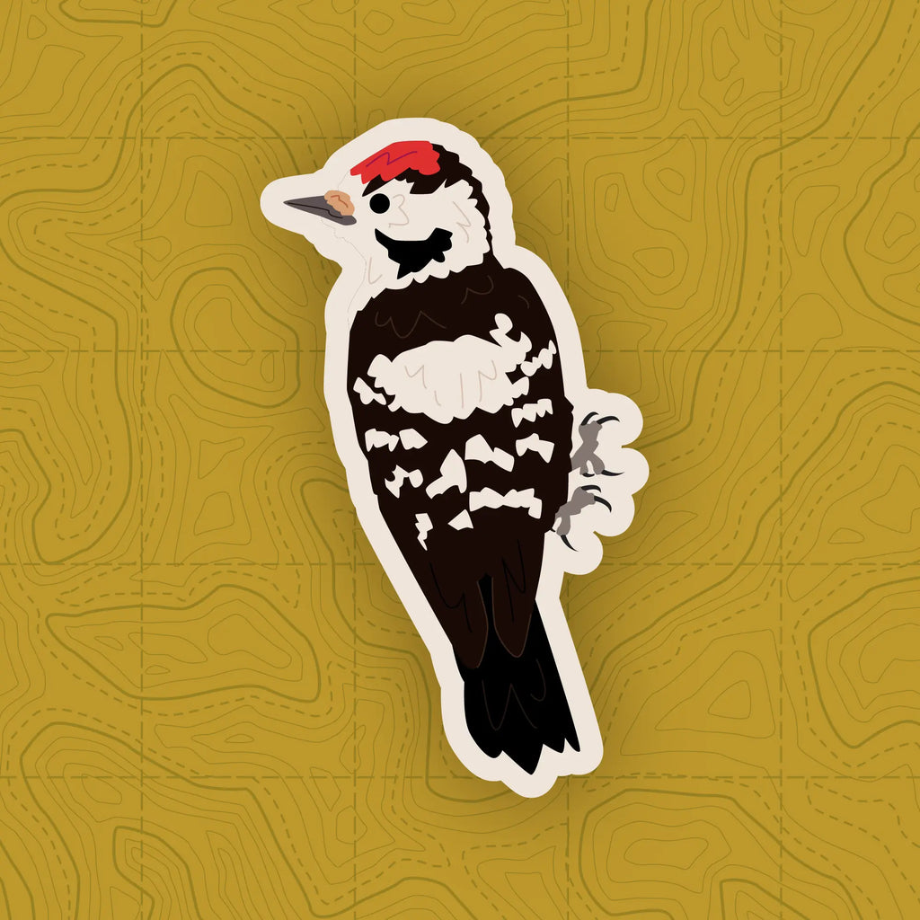 Woodpecker of Europe - Sticker Pack