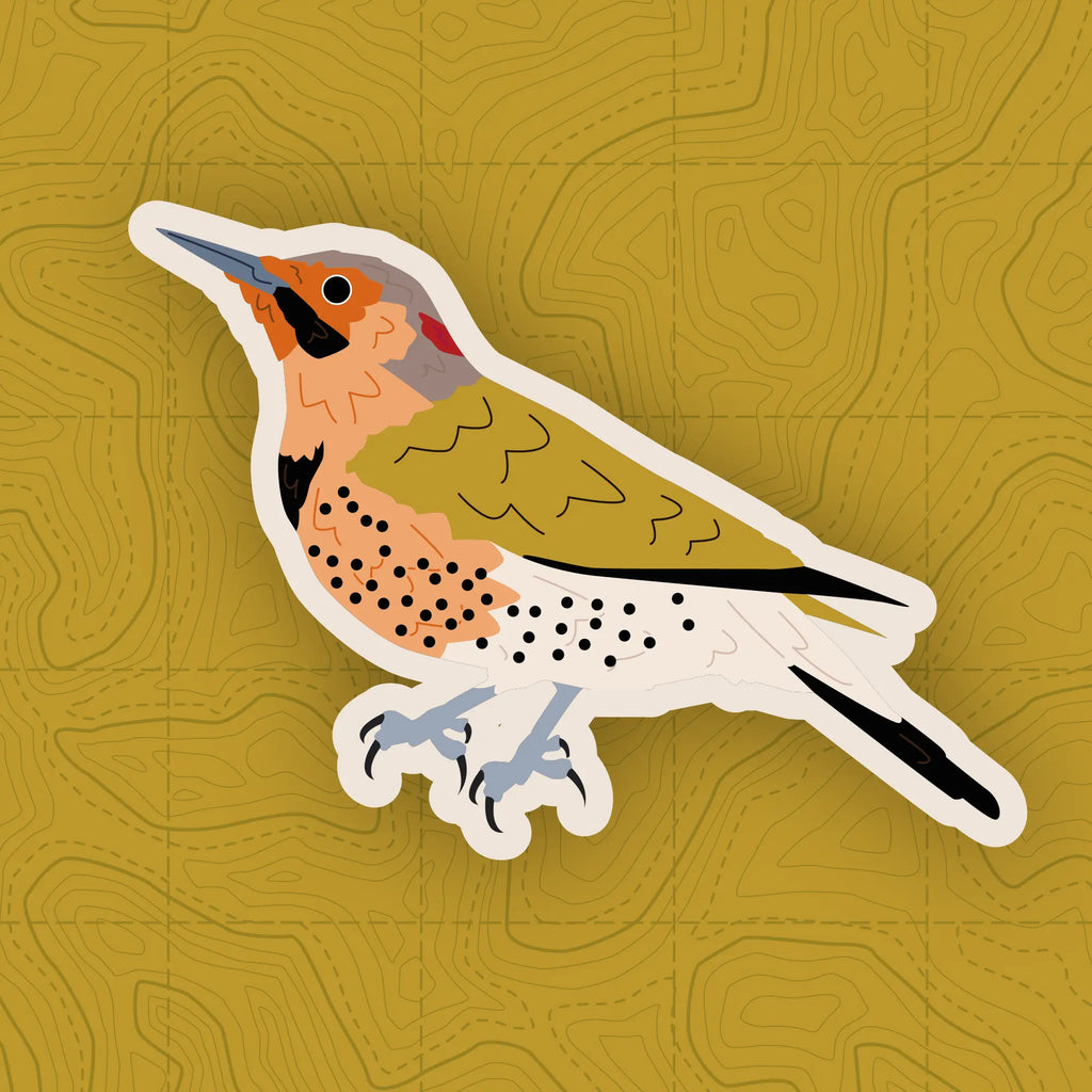 Woodpecker of Europe - Sticker Pack
