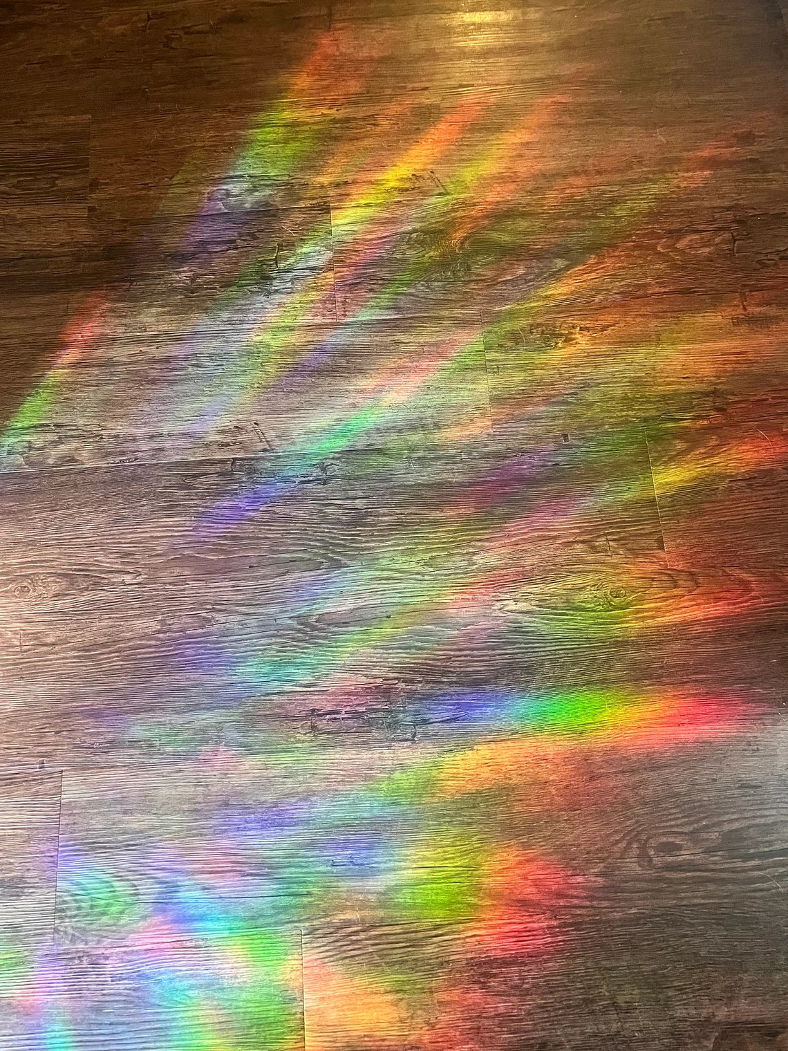 Wren adhesive Suncatcher
