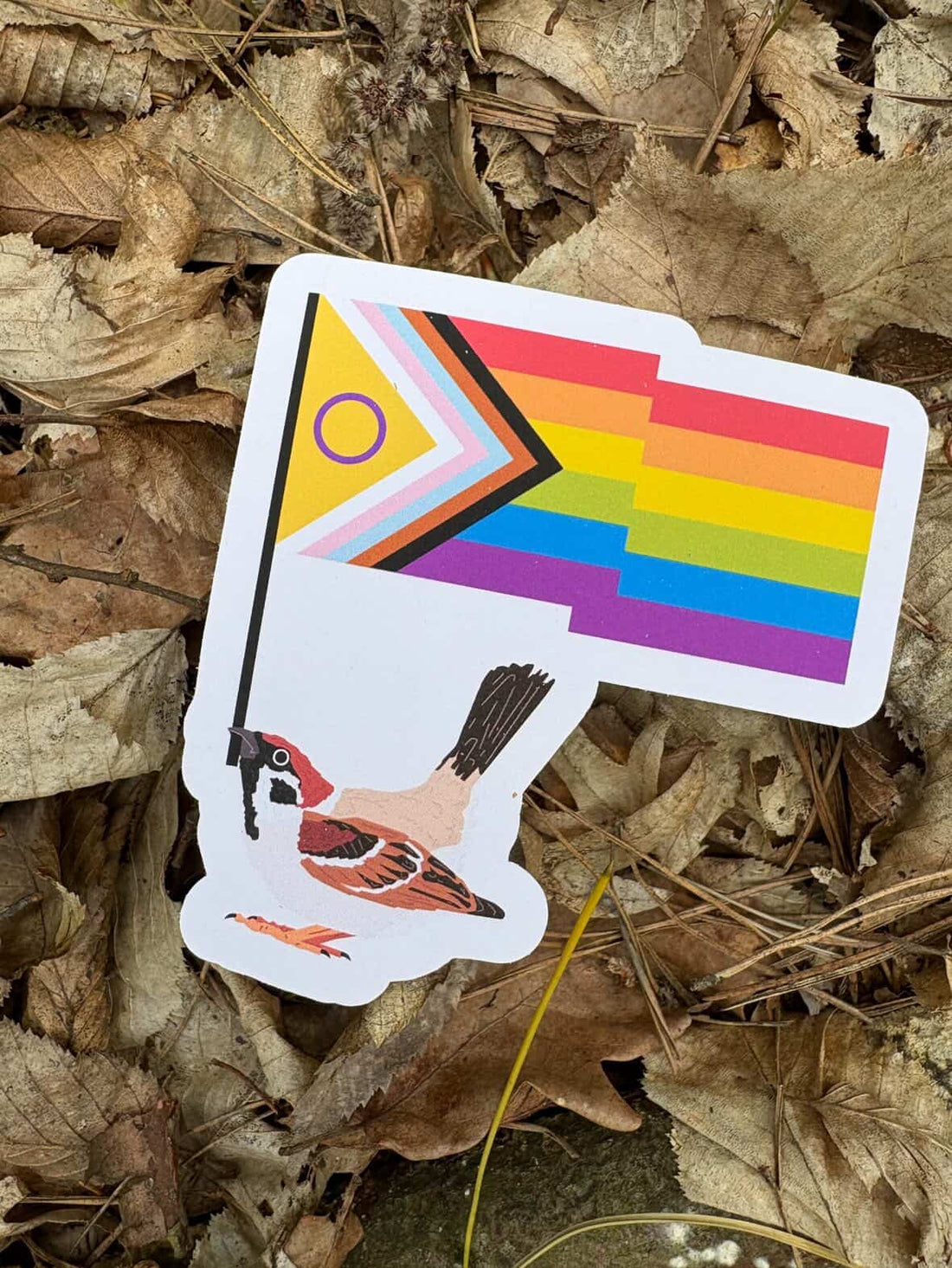 Queer Tree Sparrow Sticker