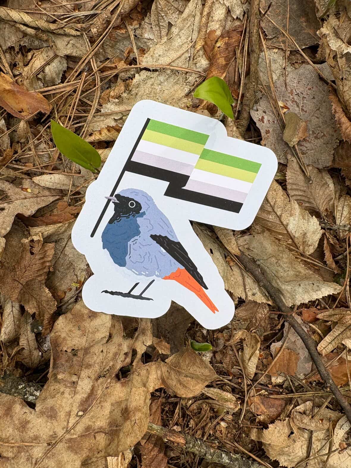 Aromantic Redstart Sticker