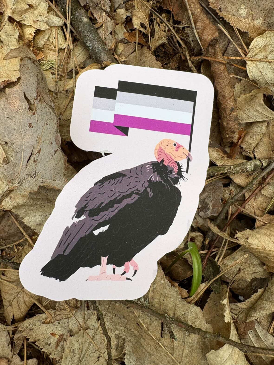 Asexual California Condor Sticker