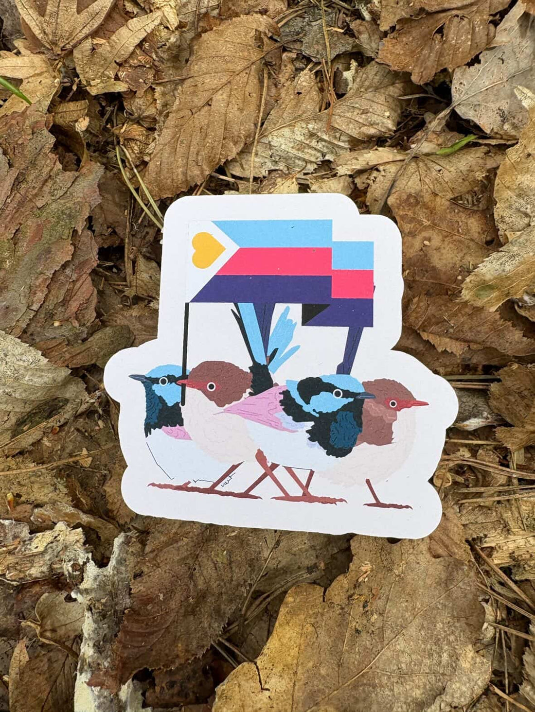 Polyamorous Superb Fairy Wren Sticker