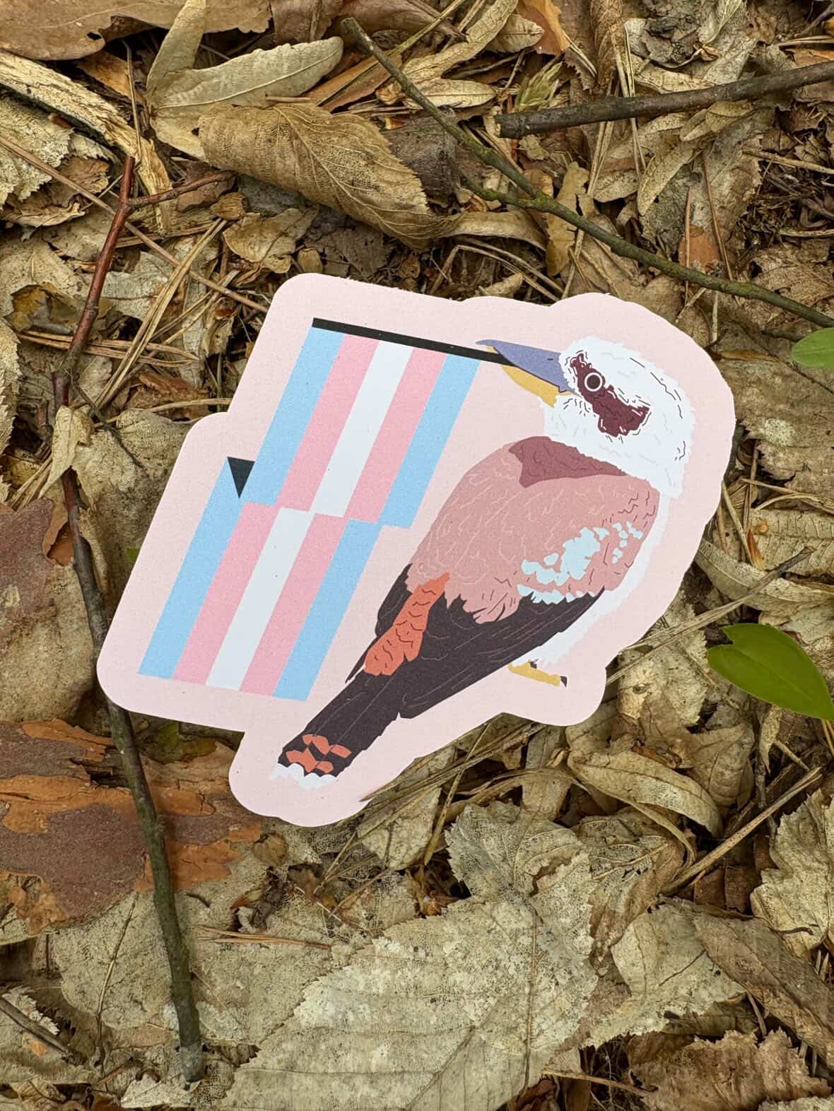 Trans Kookaburra Sticker
