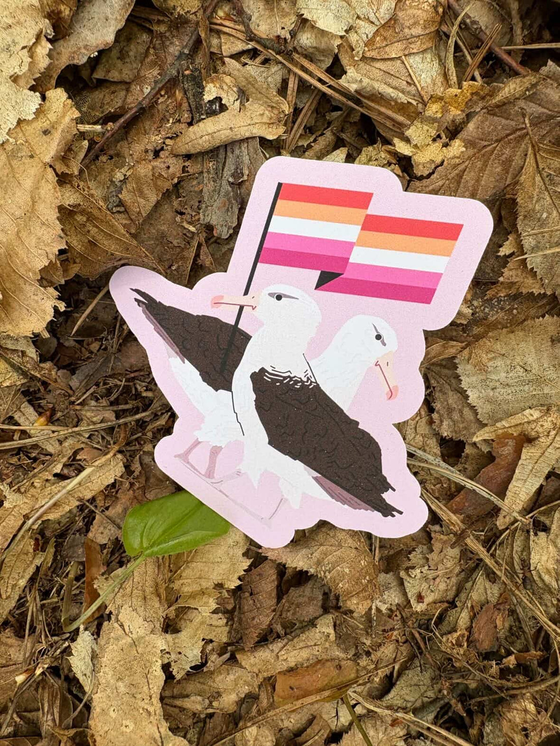 Lesbian laysan albatross sticker