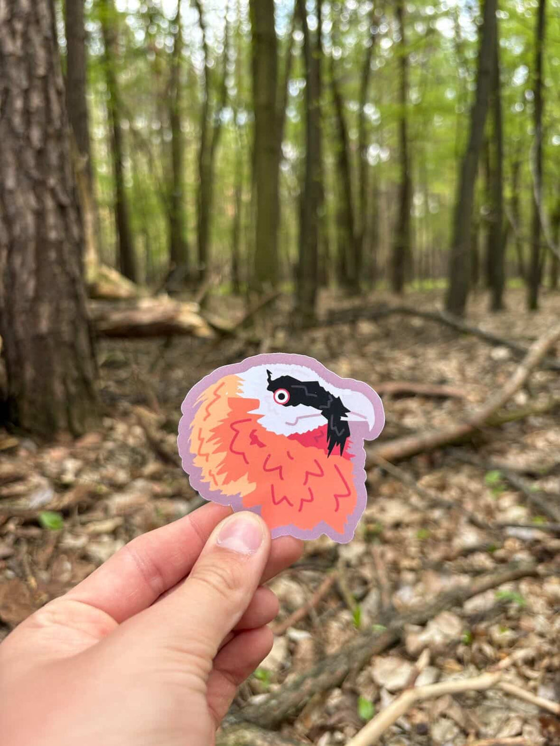 Bearded Vulture Sticker Set