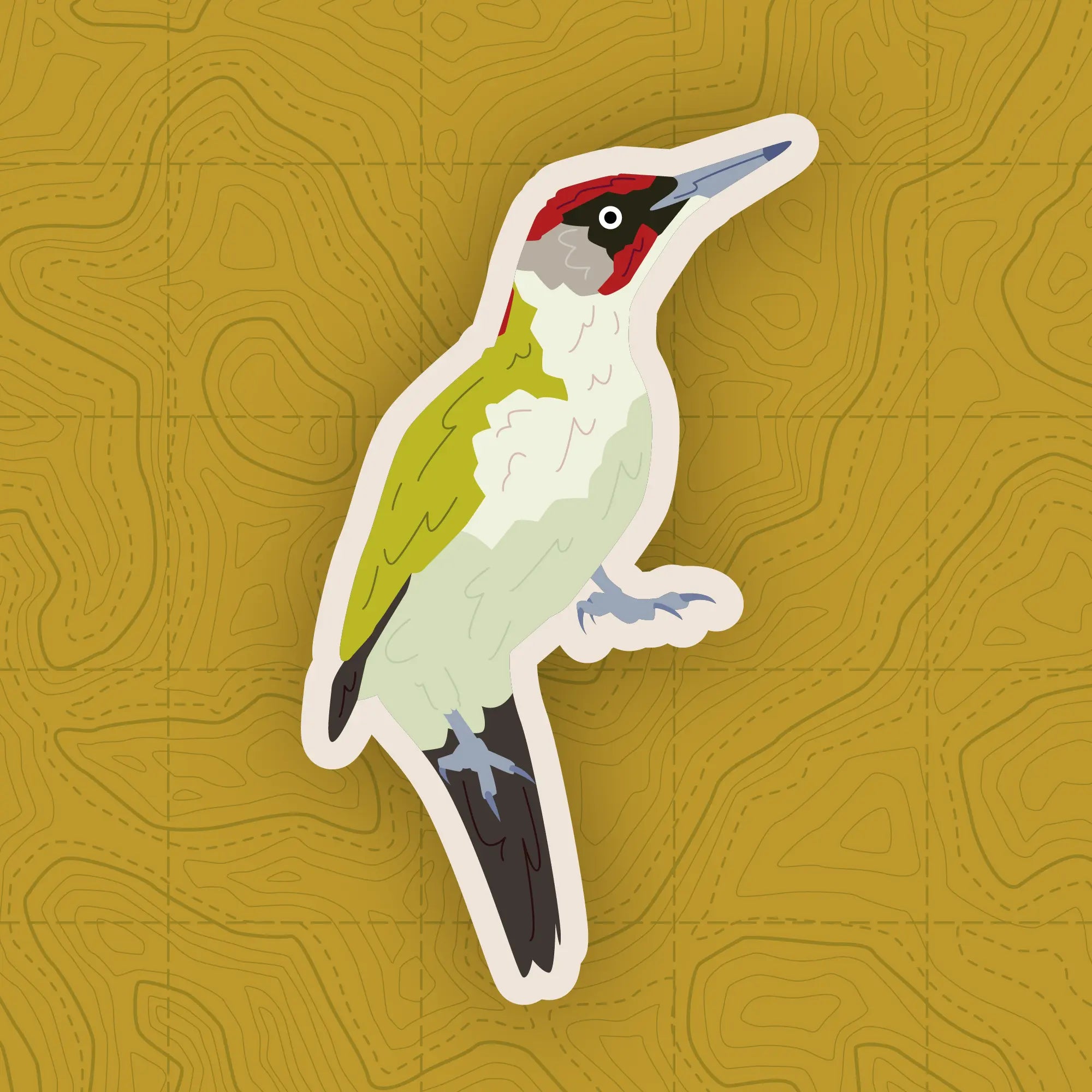 Woodpecker of Europe - Sticker Pack