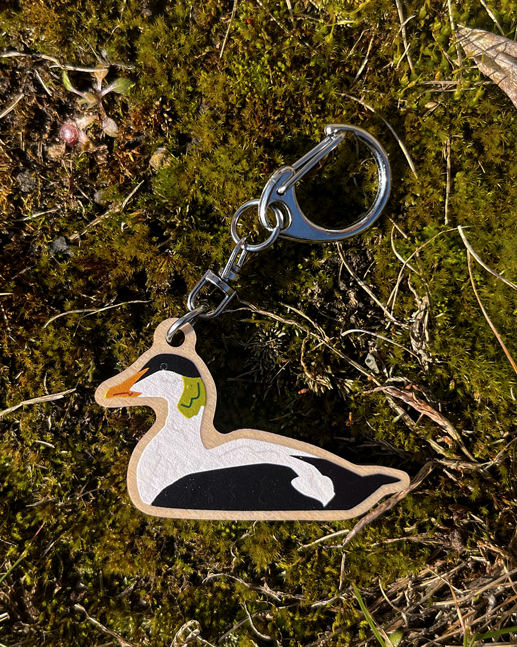 Duck Charms