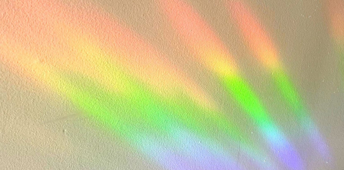 Bluejay adhesive Suncatcher