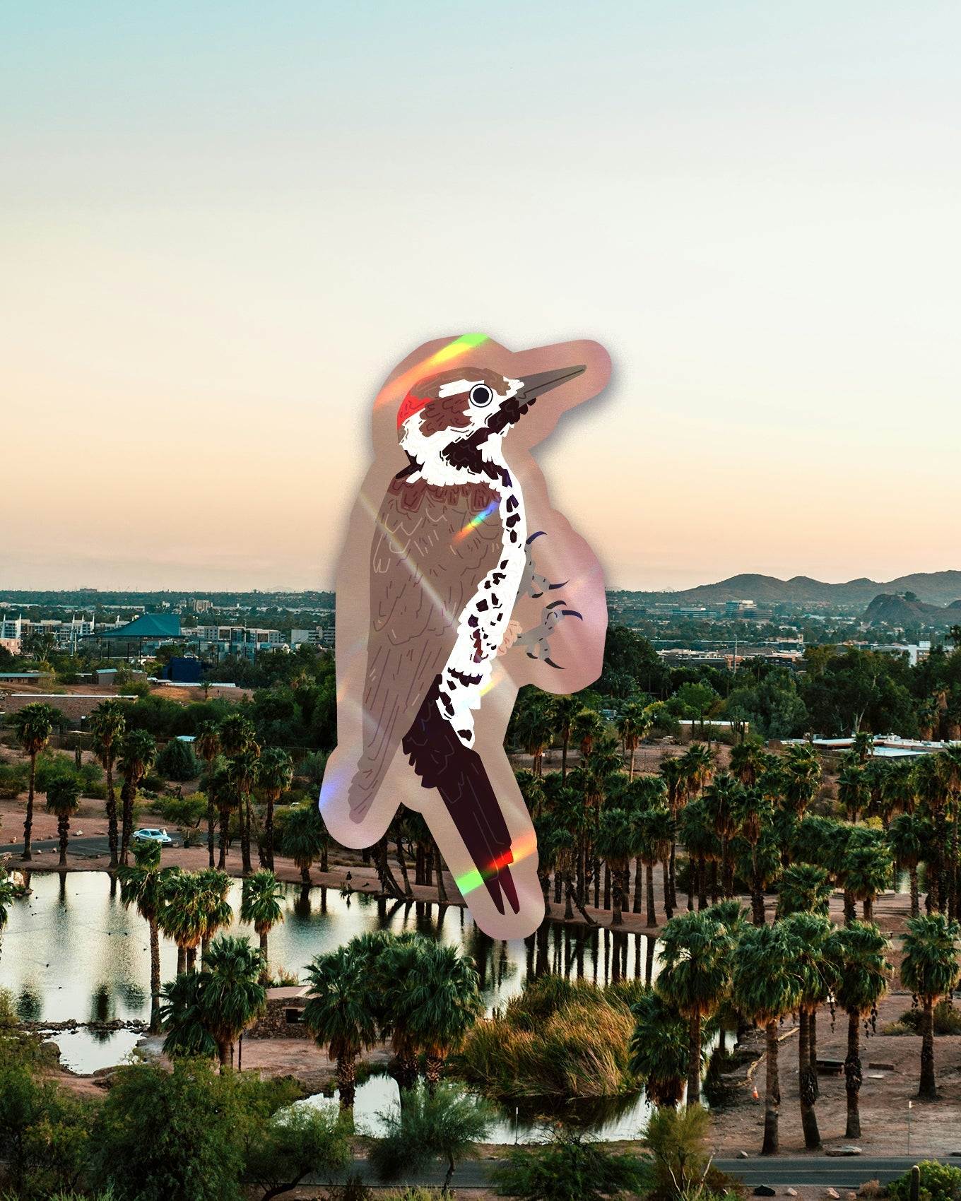 Arizona Bird Sticker Pack