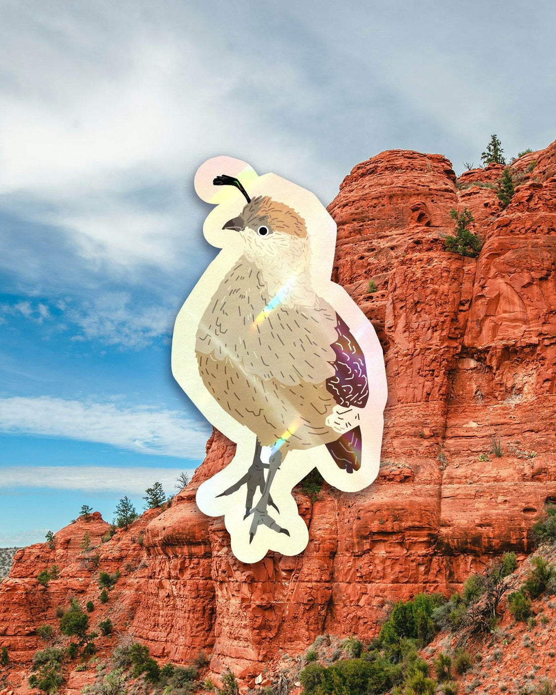 Arizona Bird Sticker Pack