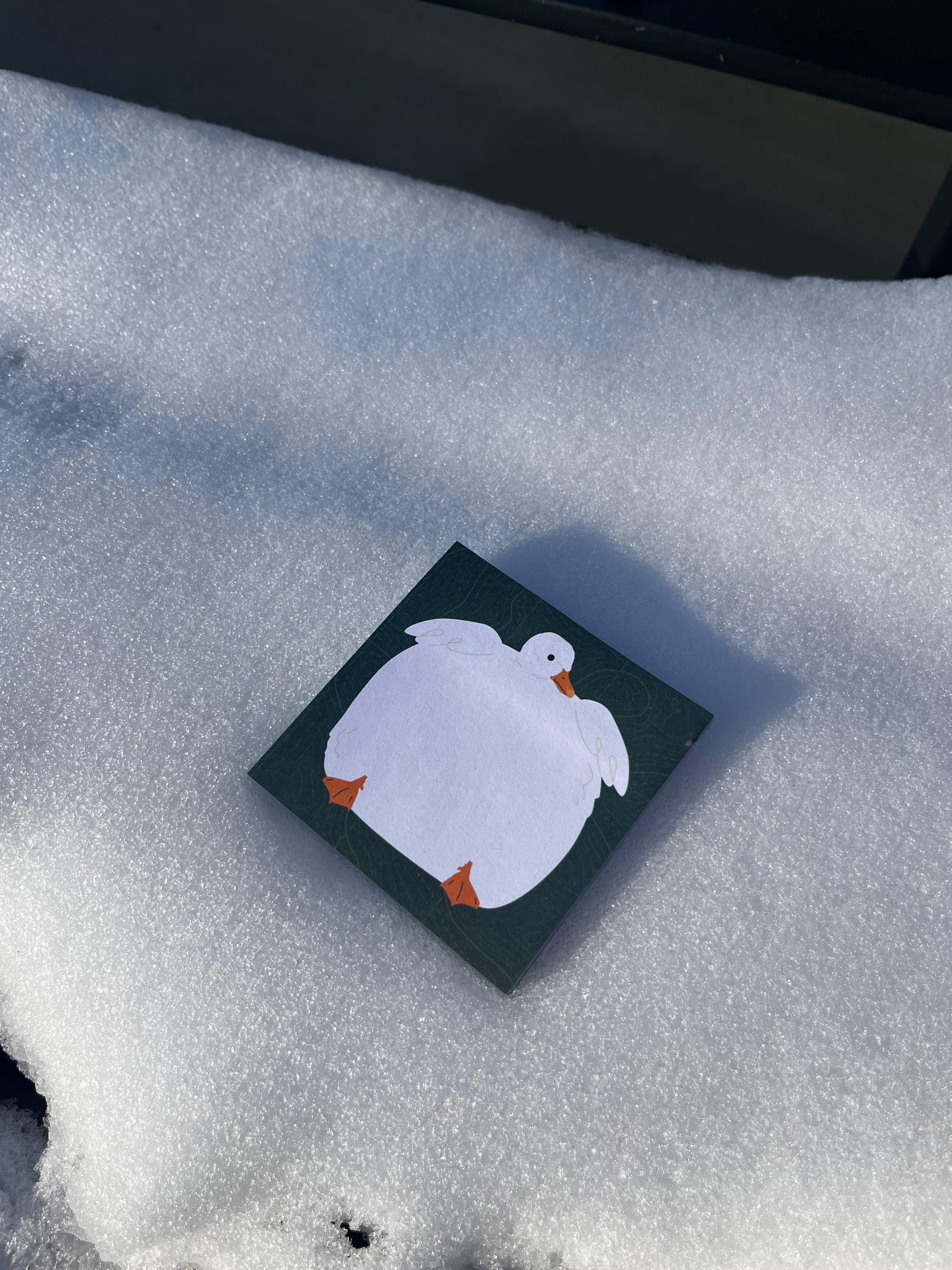 Big Duck Post-it Notes