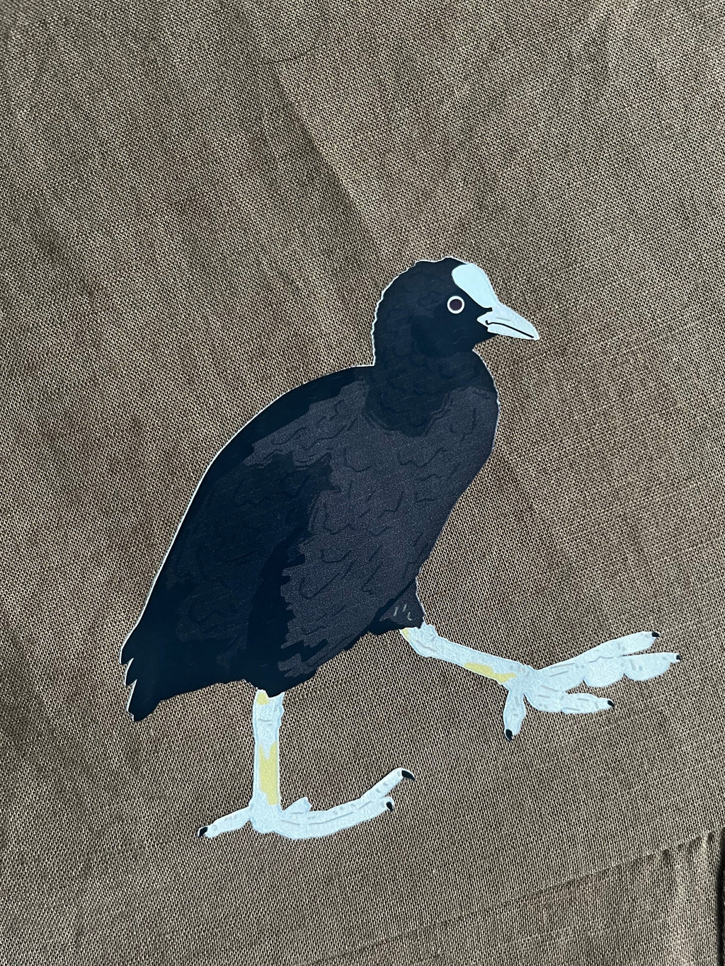 Coot Iron-On Image