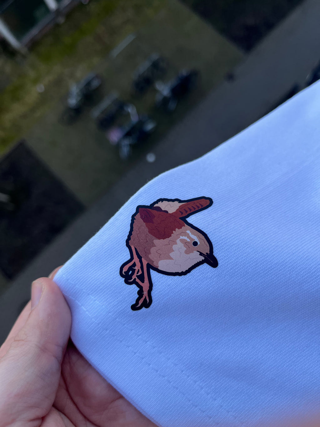 Small Birbs Shirt (PREORDER)