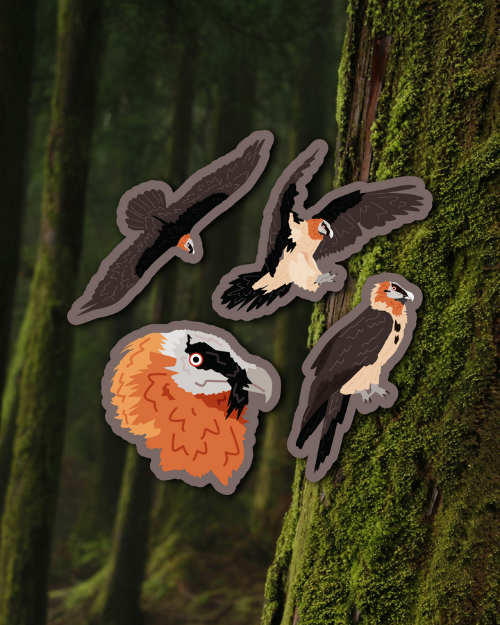 Bearded Vulture Sticker Set