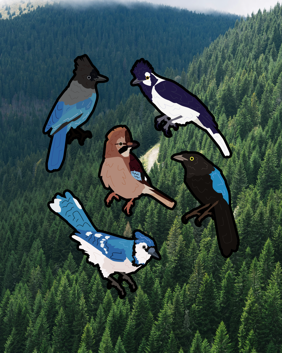Jay Sticker Pack