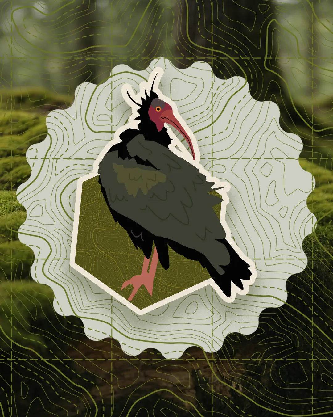 Bird Badges Series I