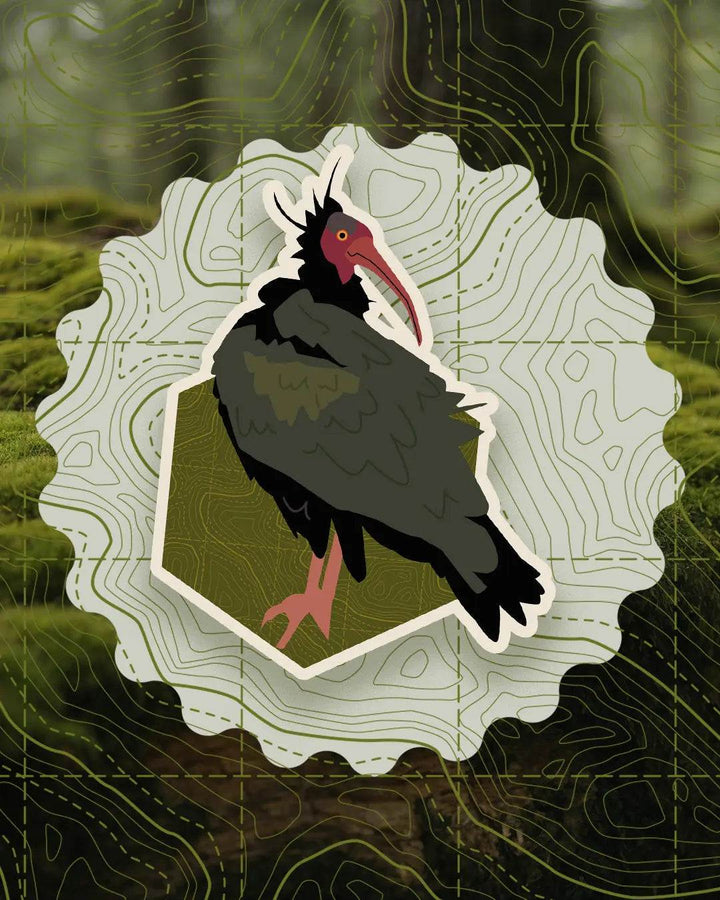 Bird Badges Series I