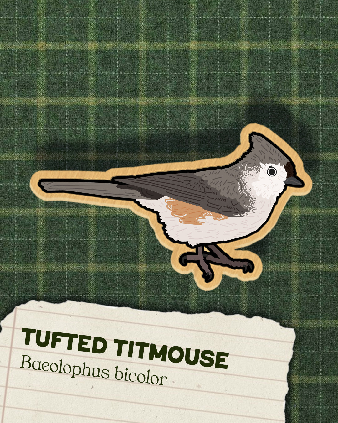 Tits, Chickadees and Titmice - Wooden Pins