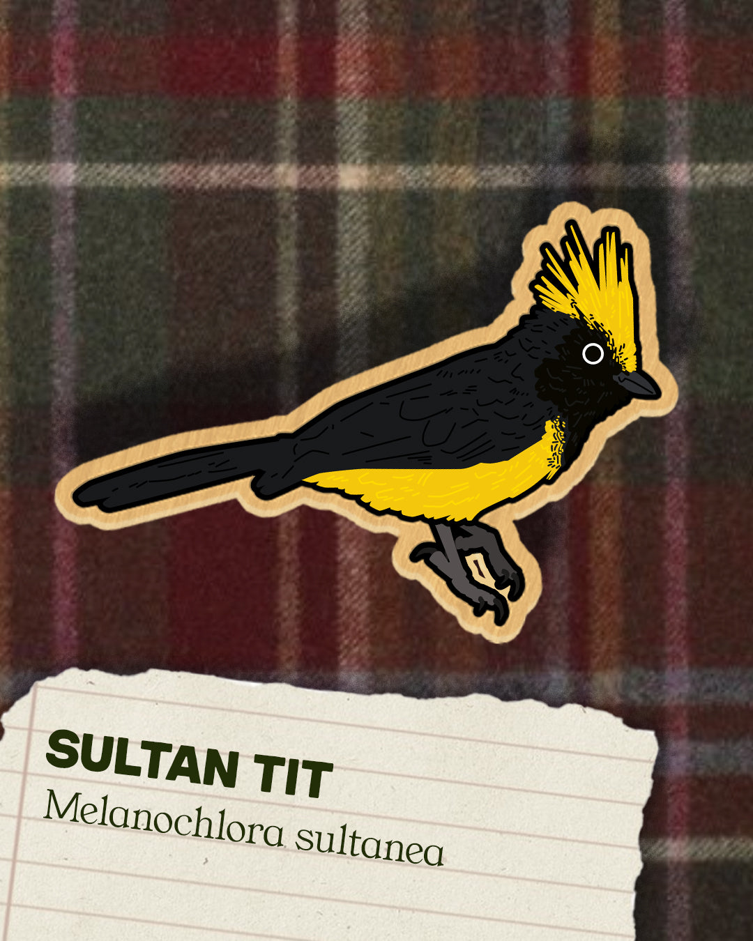 Tits, Chickadees and Titmice - Wooden Pins