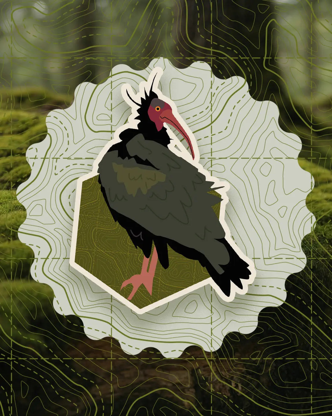Bird Badges Series I