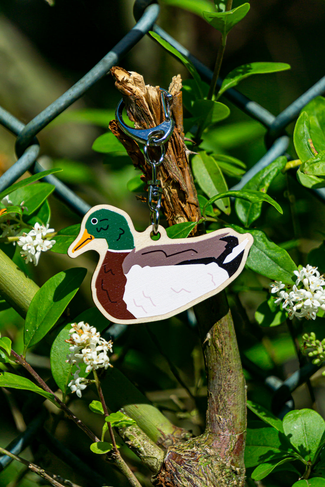 Duck Charms