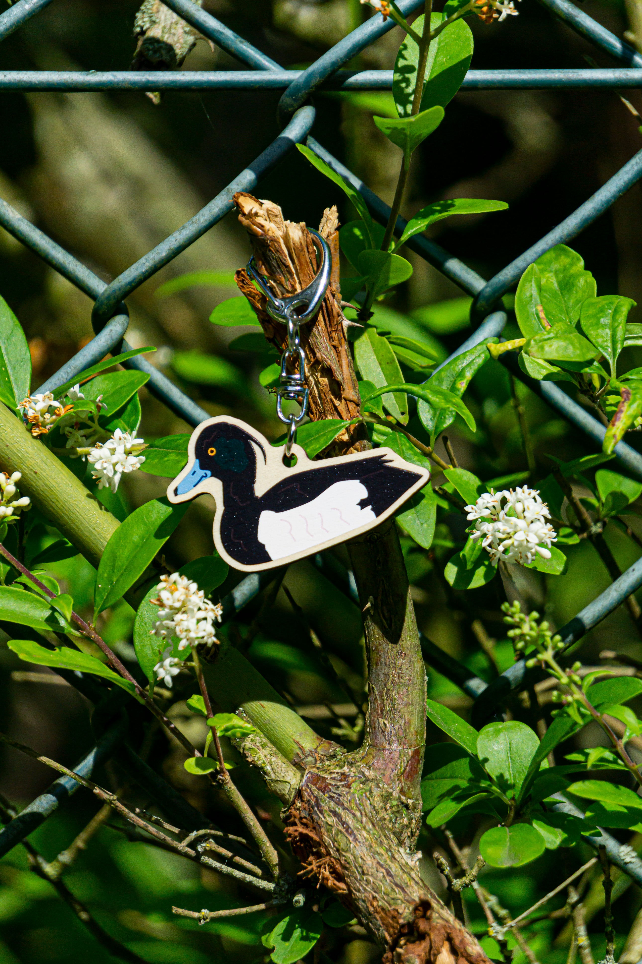 Duck Charms