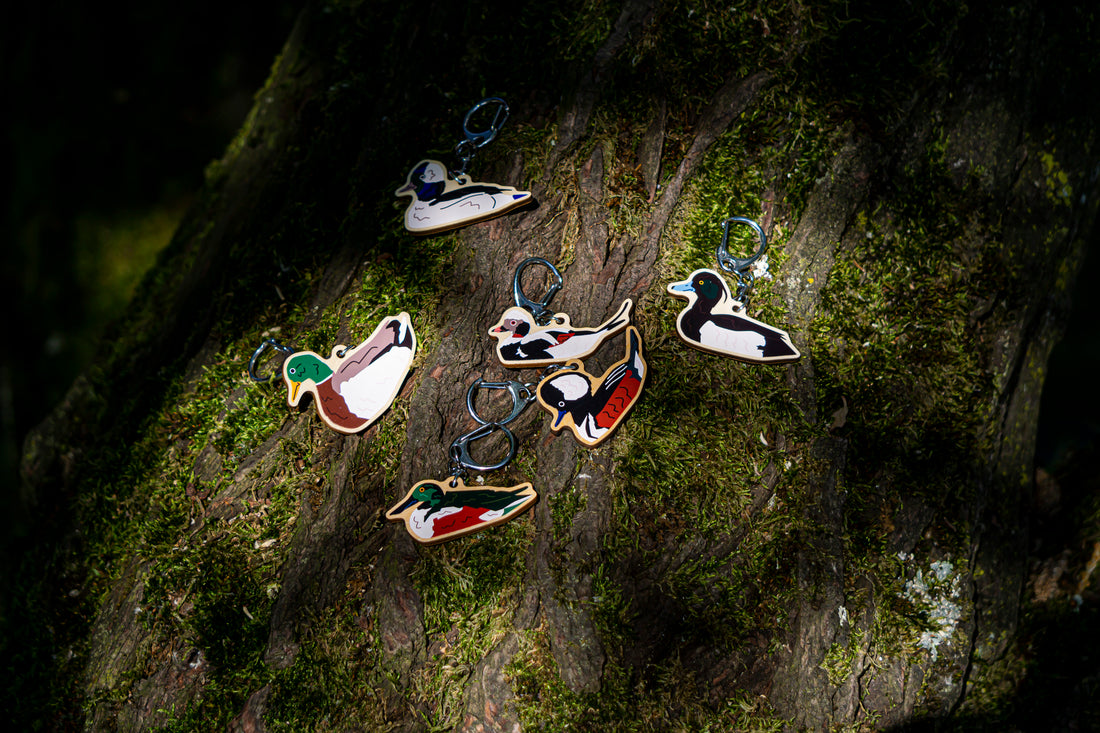 Duck Charms