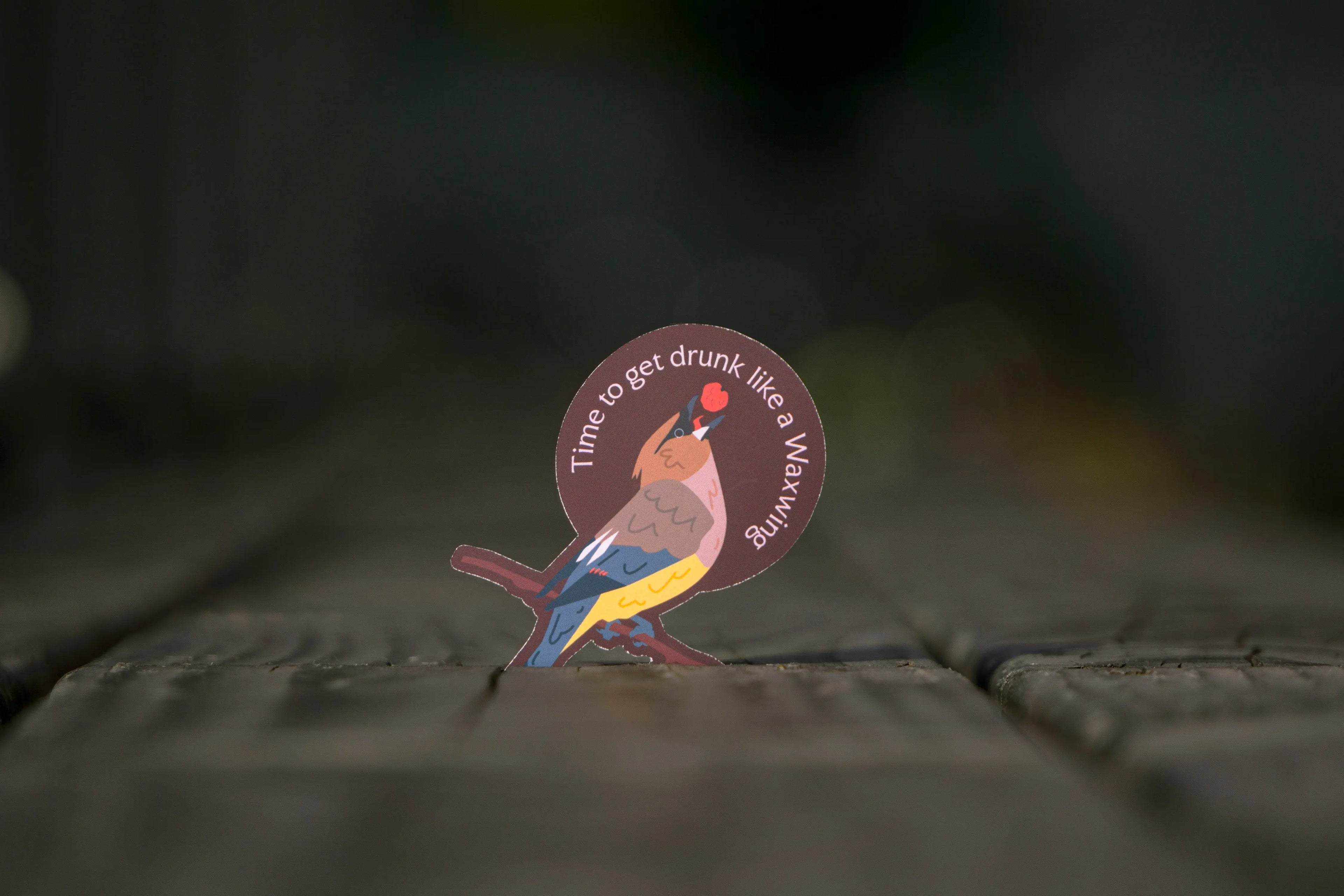 Let's get drunk - Postcard (+free Sticker)