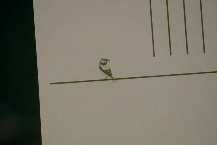 Crossbill Postcard