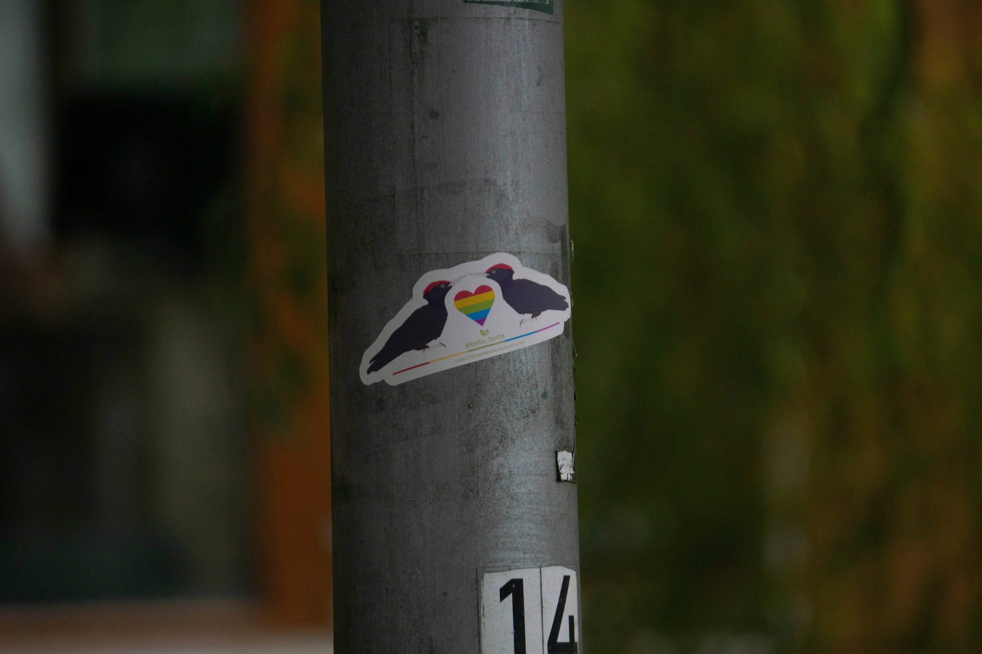 Gay Black Woodpecker Sticker