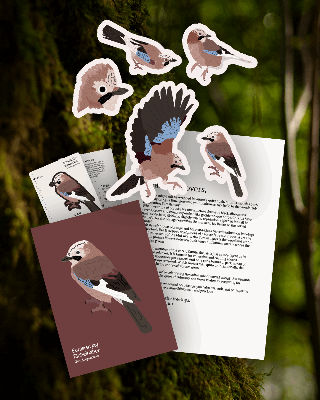 Borb Mail Club