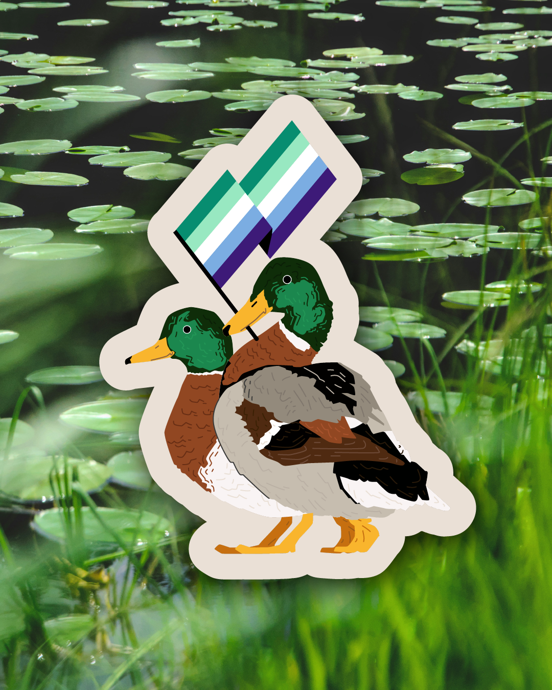 Gay Mallards sticker