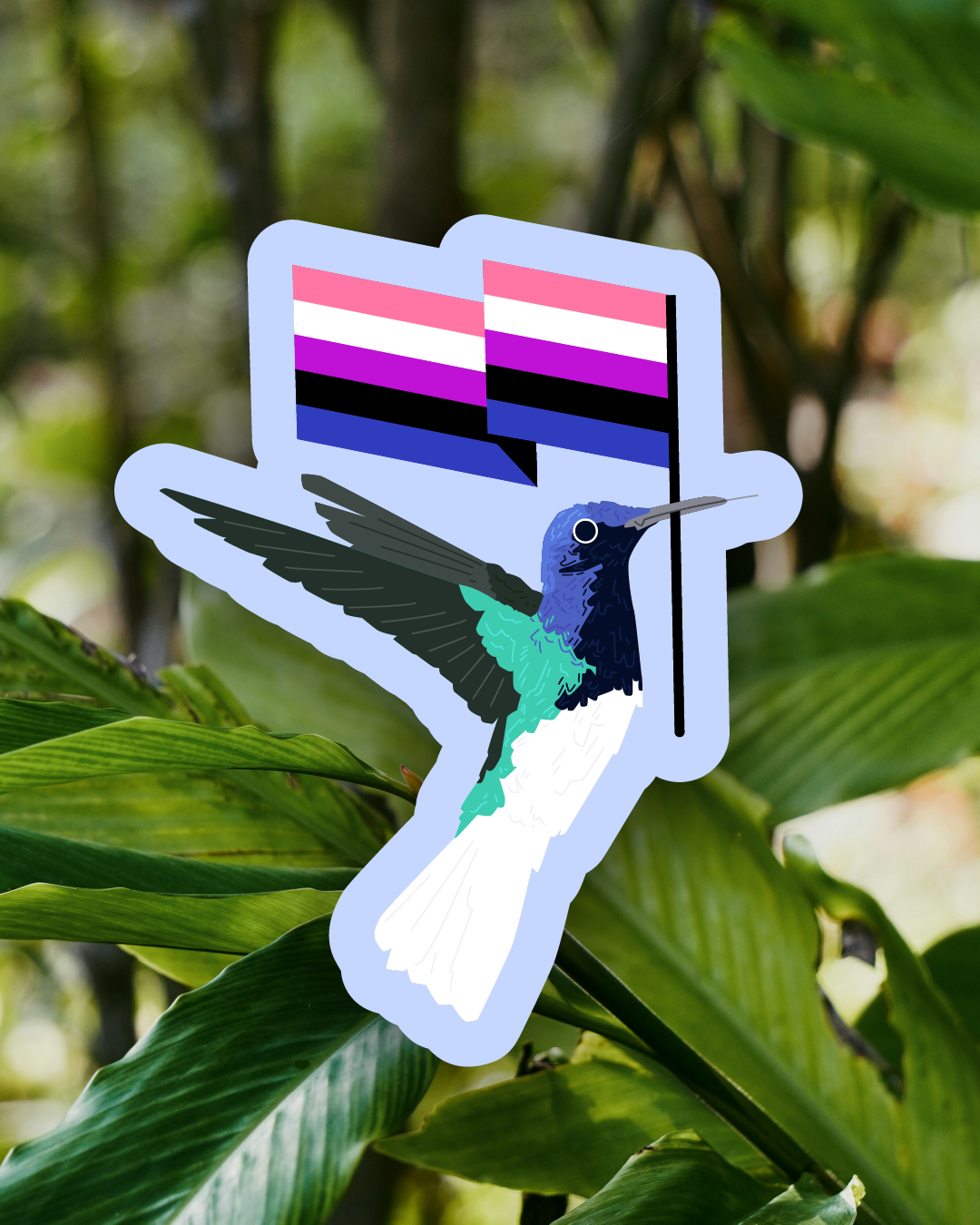 Genderfluid White-necked Jacobin Sticker