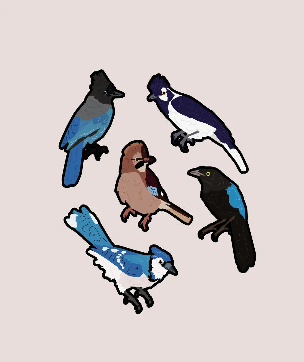 Jay Sticker Pack