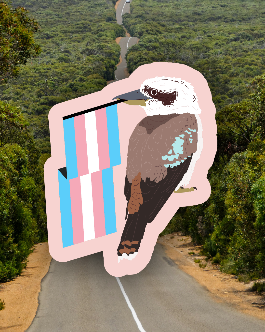 Trans Kookaburra Sticker