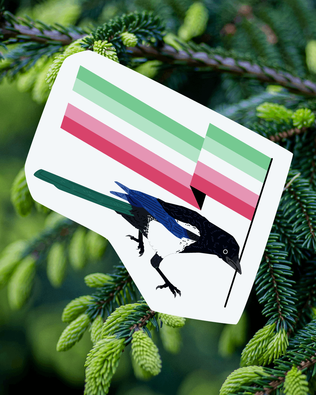 Abrosexual Magpie Sticker