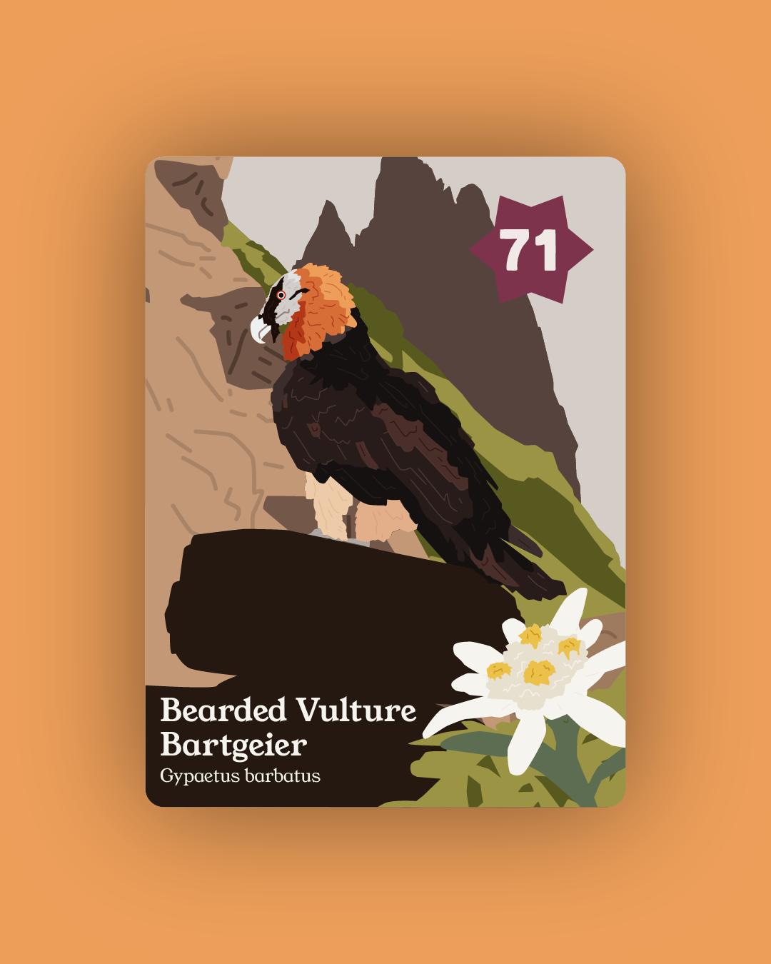 Flock - Collection and Identification cards PREORDER