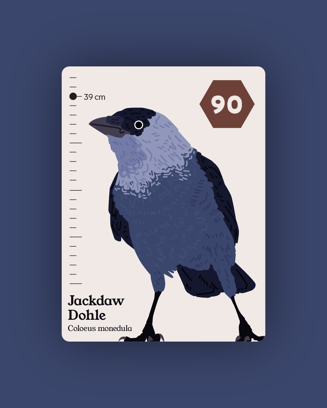 Flock - Collection and Identification cards PREORDER