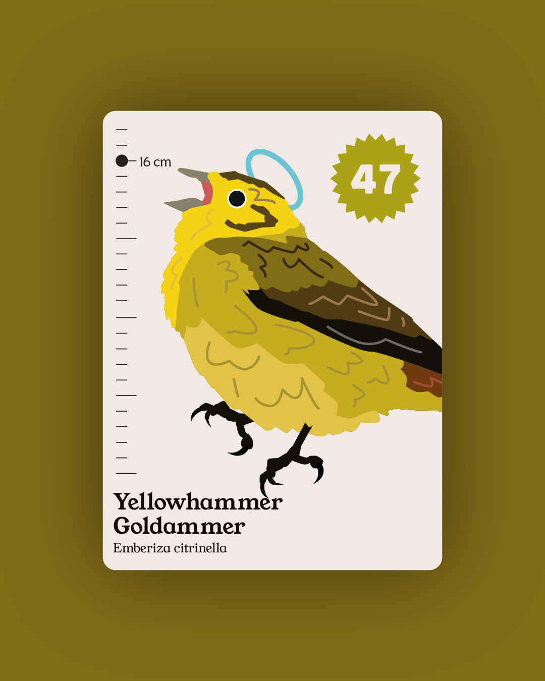 Flock - Collection and Identification cards PREORDER