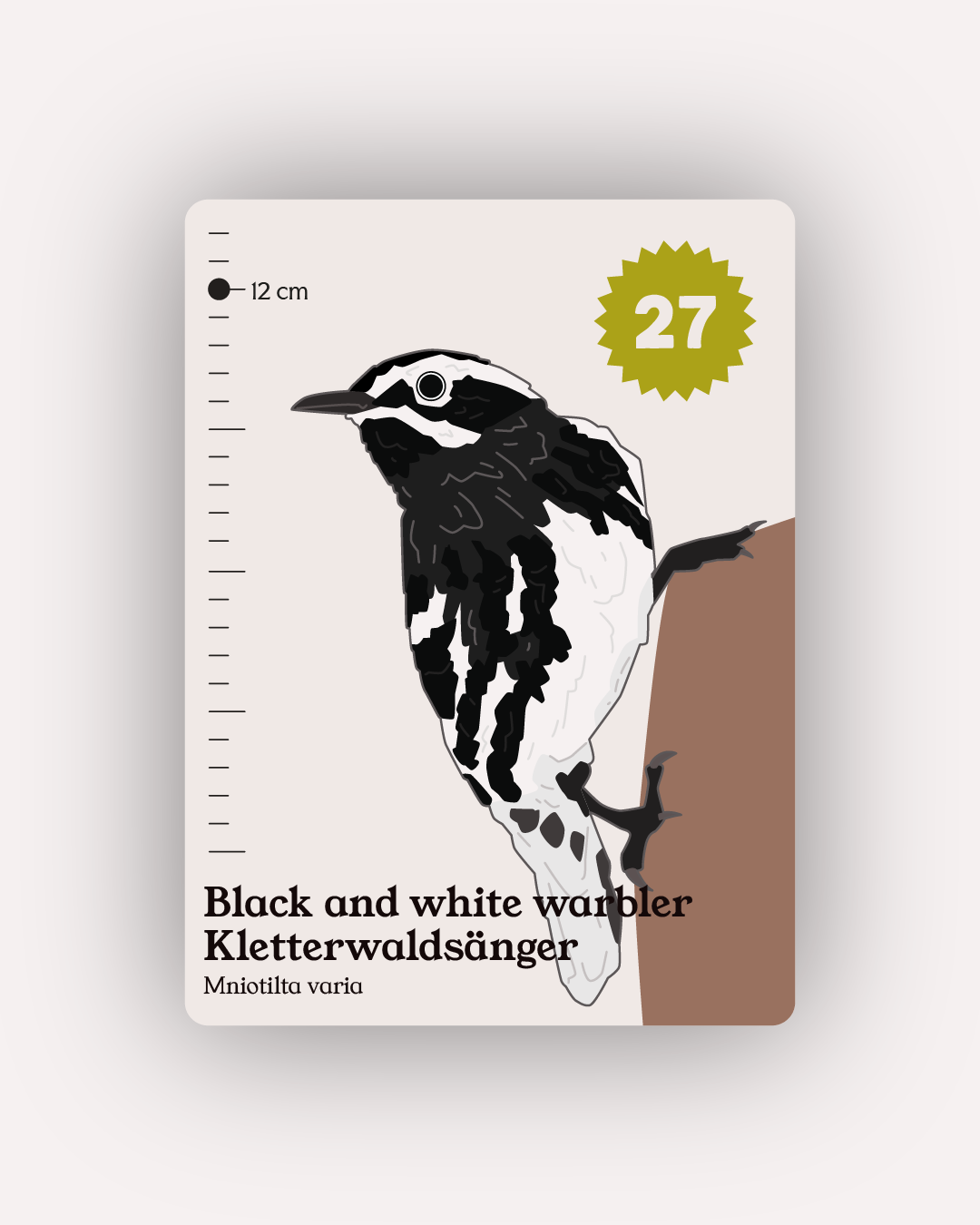 Flock - Collection and Identification cards PREORDER