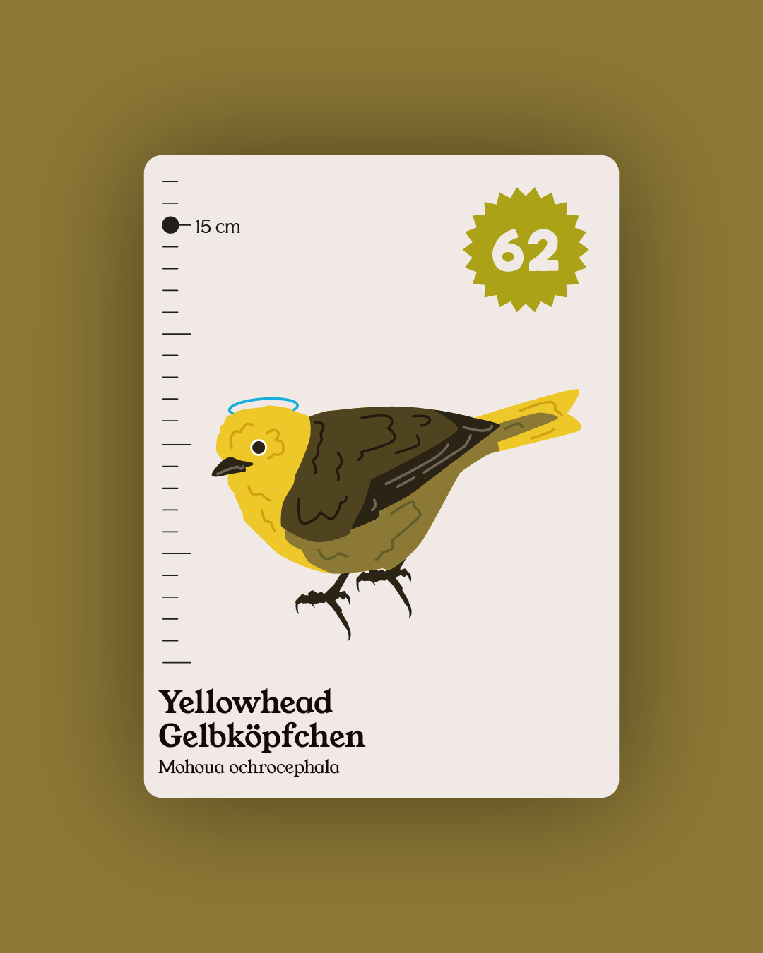 Flock - Collection and Identification cards PREORDER