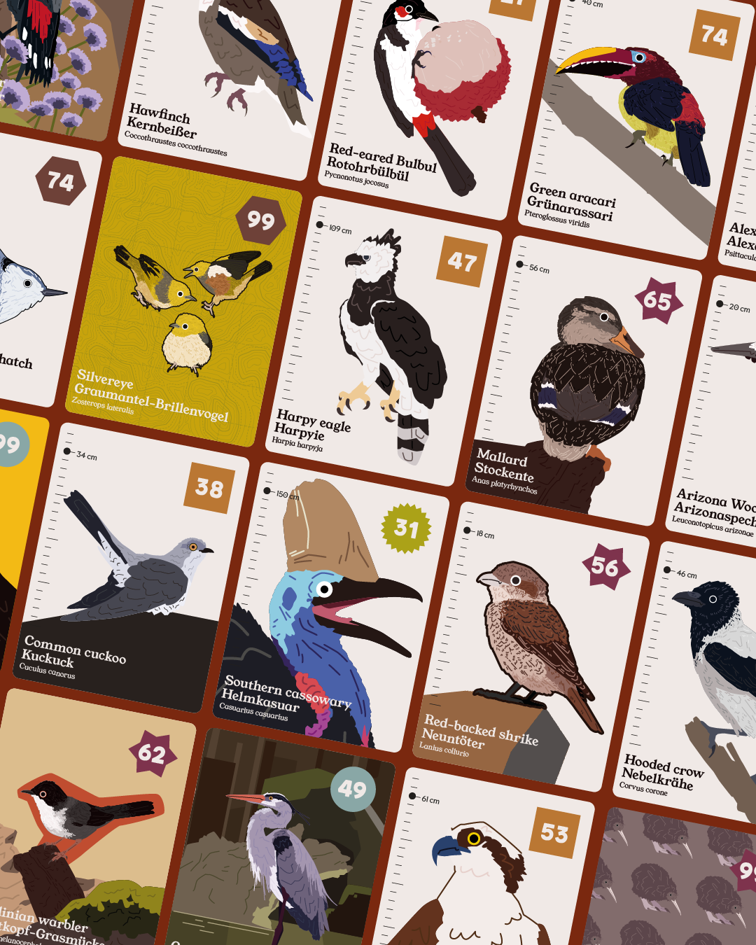Flock - Collection and Identification cards PREORDER