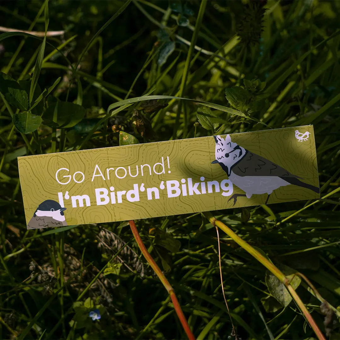 GO AROUND! I'm Bike'n'Birding! Sticker
