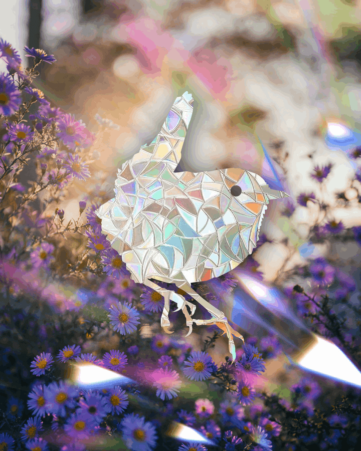 Wren adhesive Suncatcher