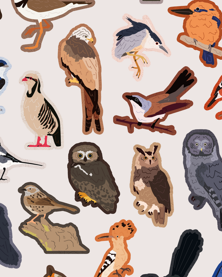 Birbs&Borbs illustrations