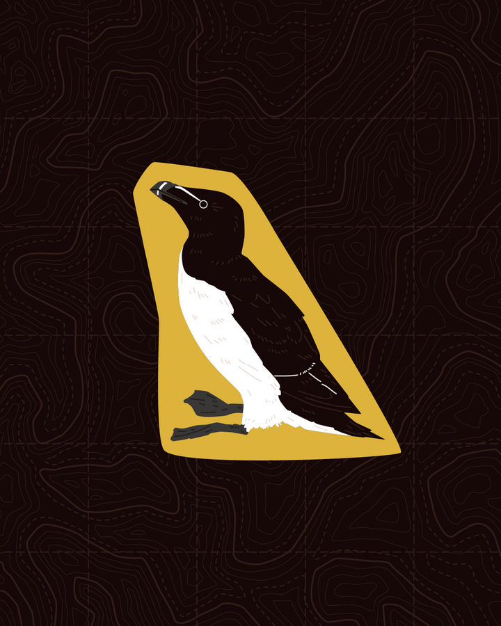East Cost Waterbird Sticker Pack