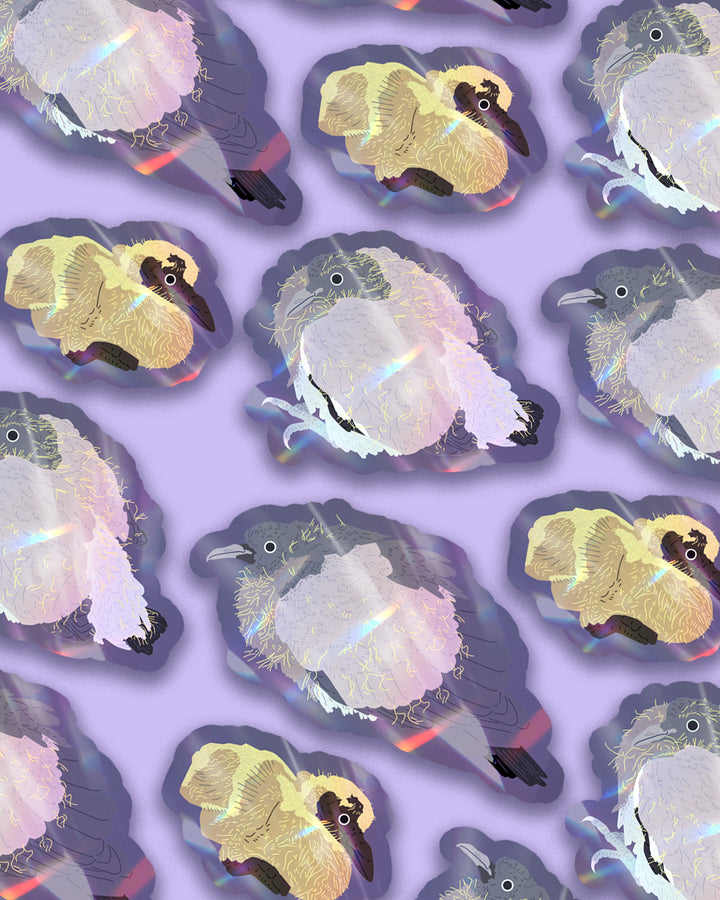 3 Young Wood Pigeon Sticker